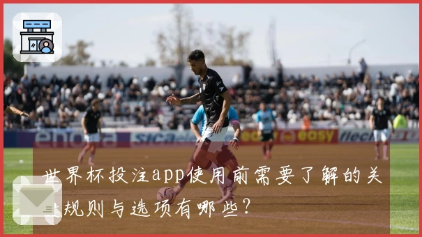 世界杯投注app使用前需要了解的关键规则与选项有哪些？