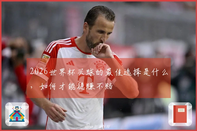 2026世界杯买球的最佳选择是什么，如何才能稳赚不赔