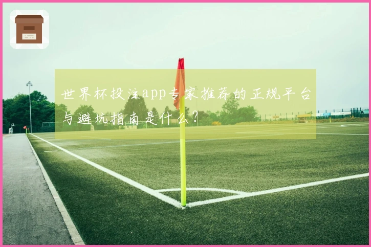 世界杯投注app专家推荐的正规平台与避坑指南是什么？