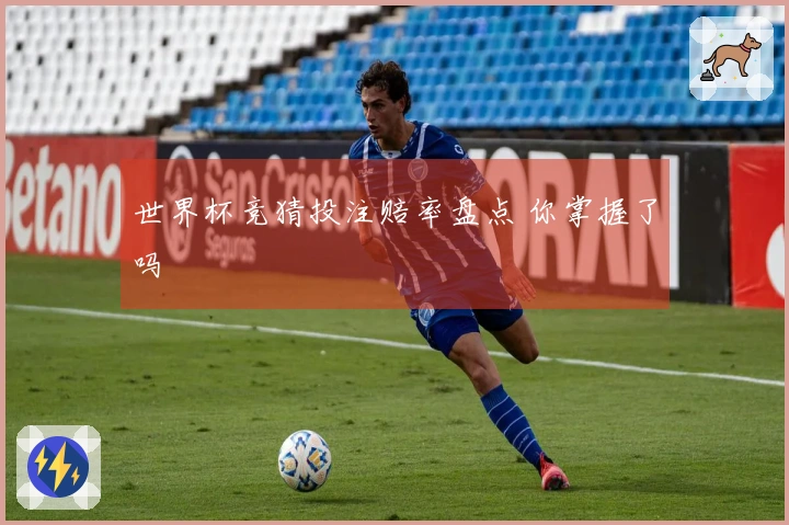 世界杯竞猜投注赔率盘点 你掌握了吗