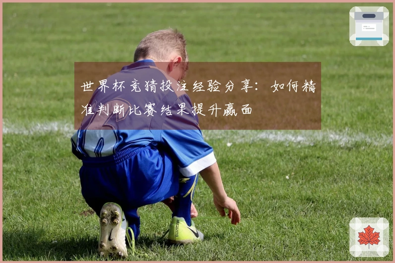 世界杯竞猜投注经验分享：如何精准判断比赛结果提升赢面