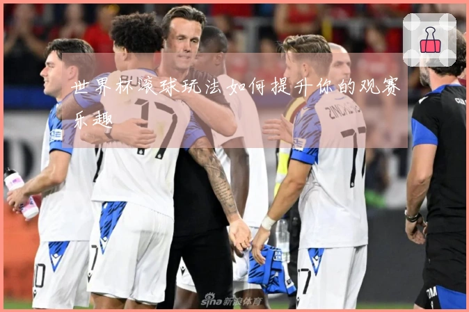 世界杯滚球玩法如何提升你的观赛乐趣