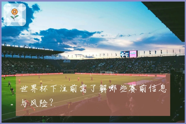 世界杯下注前需了解哪些赛前信息与风险？
