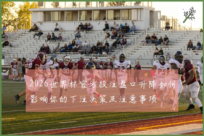 2026世界杯官方投注盘口升降如何影响你的下注决策及注意事项