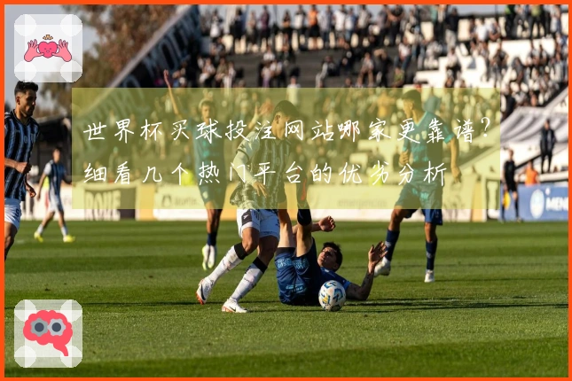 世界杯买球投注网站哪家更靠谱？细看几个热门平台的优劣分析