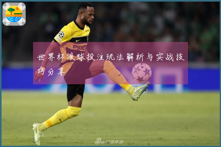 世界杯滚球投注玩法解析与实战技巧分享