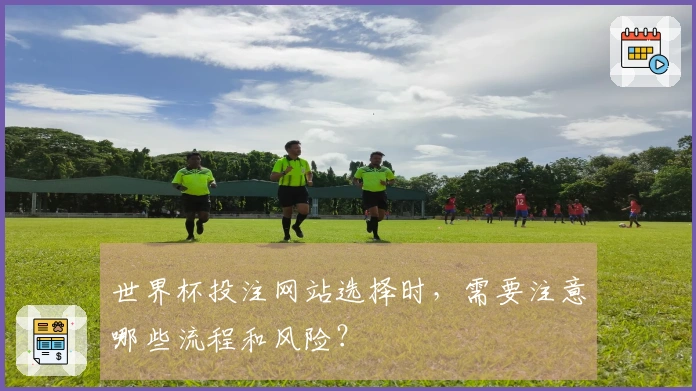 世界杯投注网站选择时，需要注意哪些流程和风险？