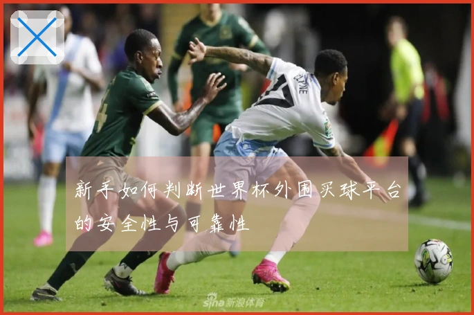 新手如何判断世界杯外围买球平台的安全性与可靠性