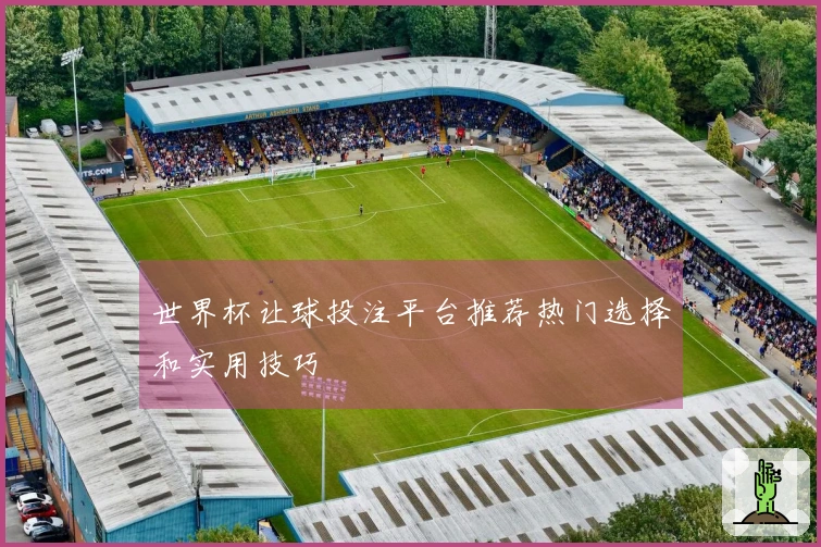 世界杯让球投注平台推荐热门选择和实用技巧