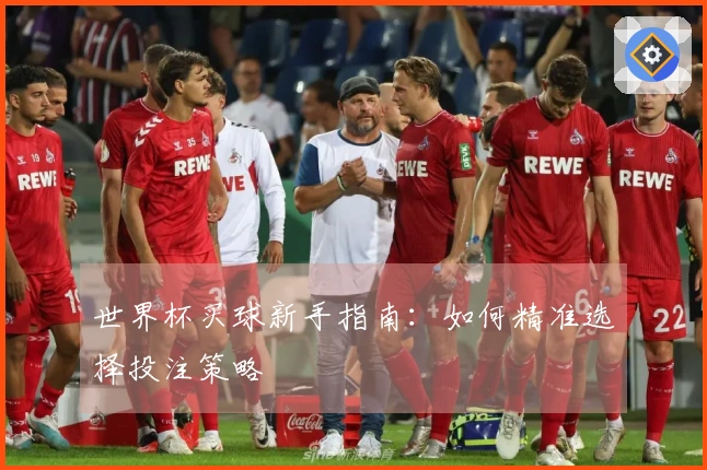 世界杯买球新手指南：如何精准选择投注策略