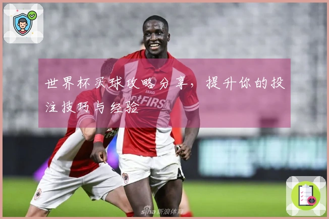 世界杯买球攻略分享，提升你的投注技巧与经验