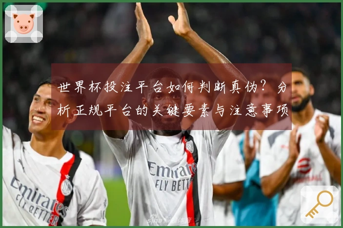 世界杯投注平台如何判断真伪？分析正规平台的关键要素与注意事项
