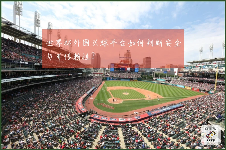 世界杯外围买球平台如何判断安全与可信赖性？