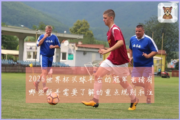 2026世界杯买球平台的冠军竞猜有哪些新手需要了解的重点规则和注意事项