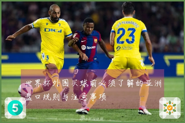 世界杯外围买球前必须了解的亚洲盘口规则与注意事项