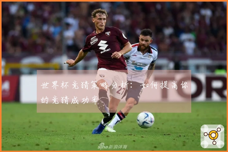 世界杯竞猜策略分析：如何提高你的竞猜成功率