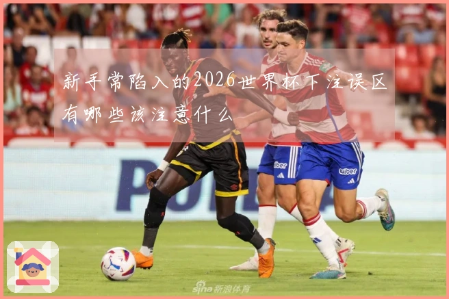 新手常陷入的2026世界杯下注误区有哪些该注意什么