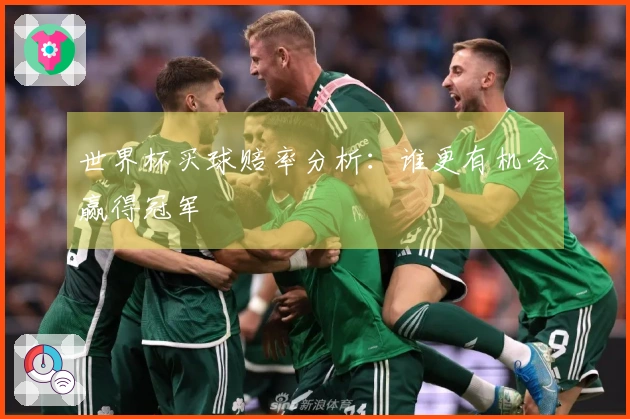 世界杯买球赔率分析:谁更有机会赢得冠军