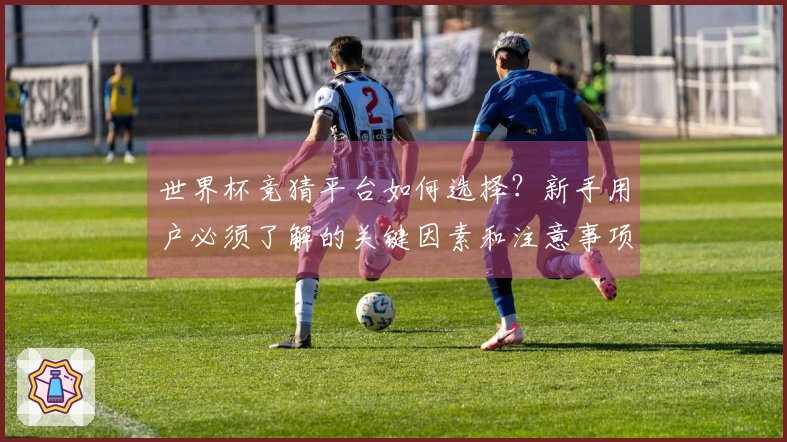 世界杯竞猜平台如何选择？新手用户必须了解的关键因素和注意事项