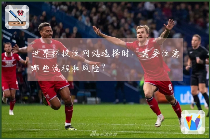 世界杯投注网站选择时，需要注意哪些流程和风险？