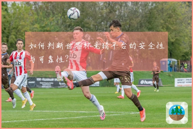 如何判断世界杯竞猜平台的安全性与可靠性？