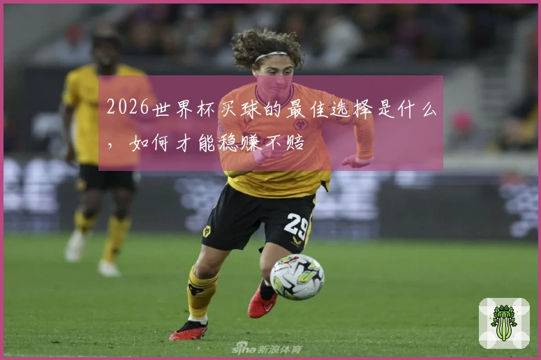 2026世界杯买球的最佳选择是什么，如何才能稳赚不赔