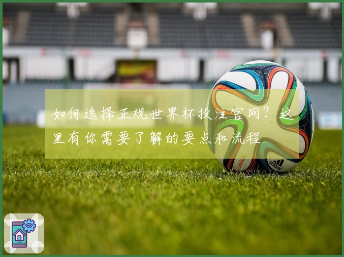 如何选择正规世界杯投注官网？这里有你需要了解的要点和流程