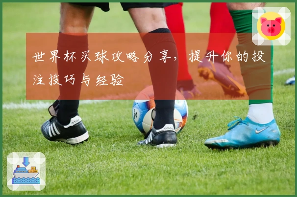世界杯买球攻略分享，提升你的投注技巧与经验
