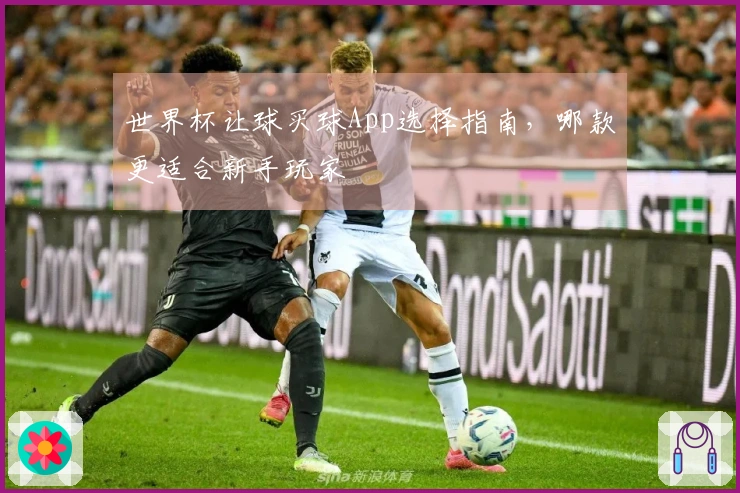 世界杯让球买球App选择指南，哪款更适合新手玩家