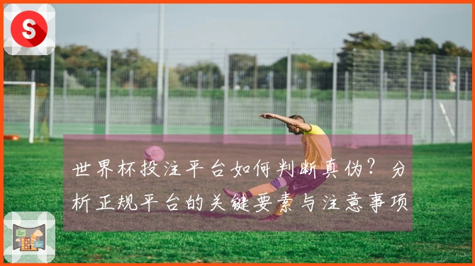 世界杯投注平台如何判断真伪？分析正规平台的关键要素与注意事项