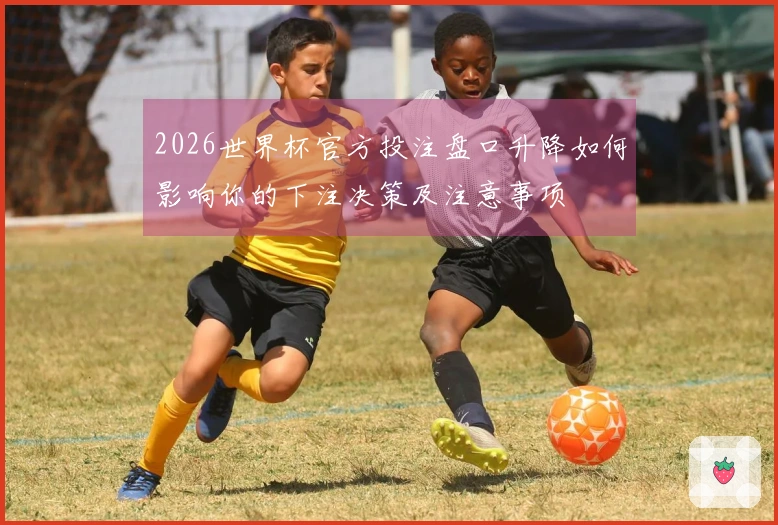 2026世界杯官方投注盘口升降如何影响你的下注决策及注意事项