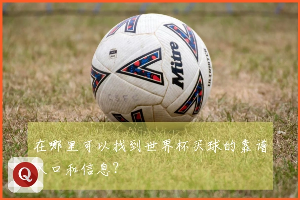 在哪里可以找到世界杯买球的靠谱入口和信息？