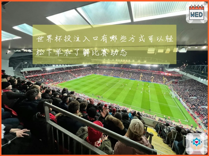 世界杯投注入口有哪些方式可以轻松下单和了解比赛动态