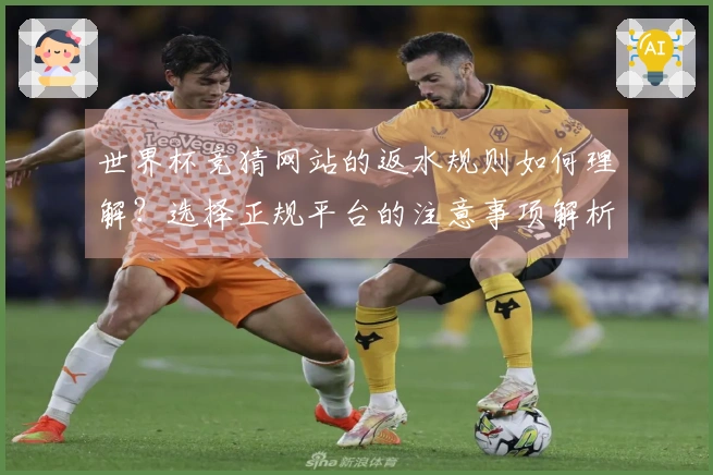 世界杯竞猜网站的返水规则如何理解？选择正规平台的注意事项解析