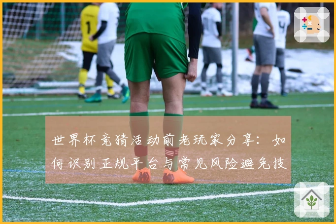 世界杯竞猜活动前老玩家分享：如何识别正规平台与常见风险避免技巧