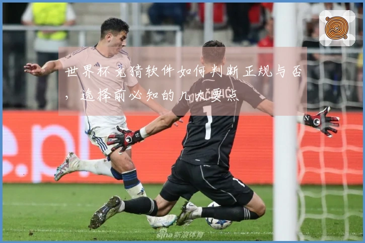 世界杯竞猜软件如何判断正规与否，选择前必知的几大要点
