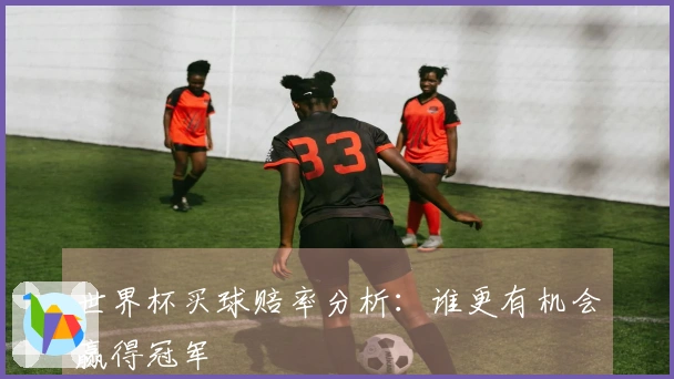 世界杯买球赔率分析：谁更有机会赢得冠军
