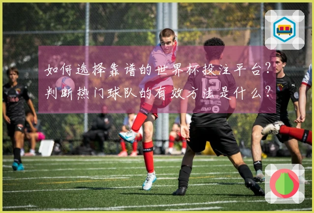 如何选择靠谱的世界杯投注平台？判断热门球队的有效方法是什么？