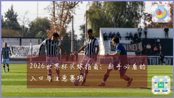 2026世界杯买球指南：新手必看的入口与注意事项