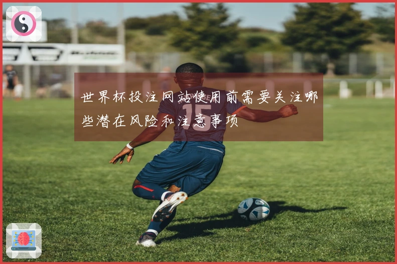 世界杯投注网站使用前需要关注哪些潜在风险和注意事项