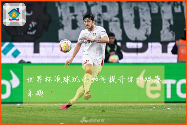 世界杯滚球玩法如何提升你的观赛乐趣